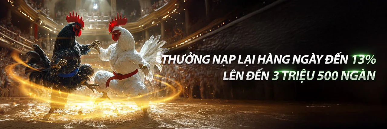 Hình ảnh Đá Gà Trực Tuyến 6ff19