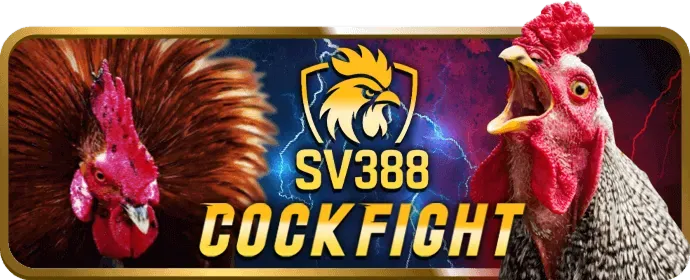 Tại sao chọn 6ff19